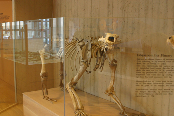 Eldgamle funn lagret på Våland: Arkeologisk Museum