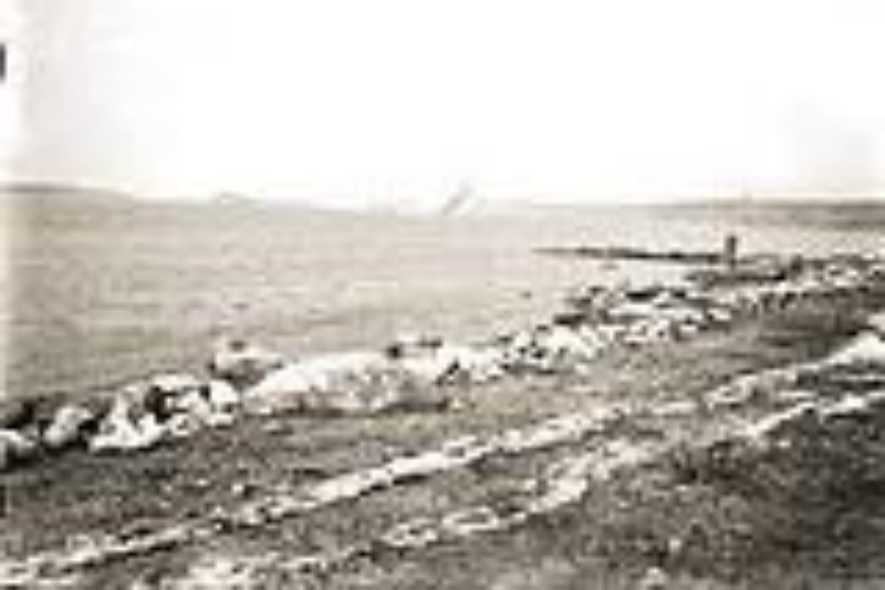 Zeppelinerskuddene i Hafrsfjord