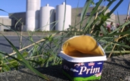 Prima vare