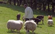 Han kom fra Kenya…..