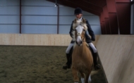 Rideklubben med ny ridehall