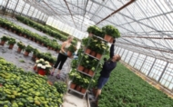 Arbeidsinnvandrere er kommet for å bli