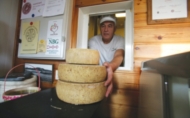 Populær ost fra Jæren