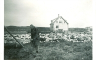 På gamle  stier