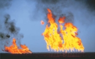 Riskadager i fyr og flamme!