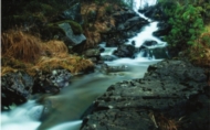 Turtips: Sanddalen