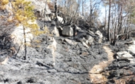På tiltråkkede stier