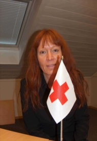 Mangler nettverk
